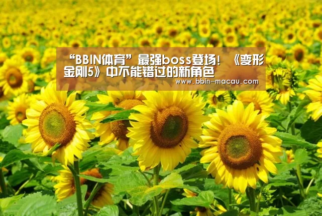 “BBIN体育”最强boss登场! 《变形金刚5》中不能错过的新角色(图1) BBIN足球