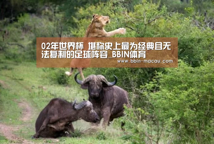 BBIN足球